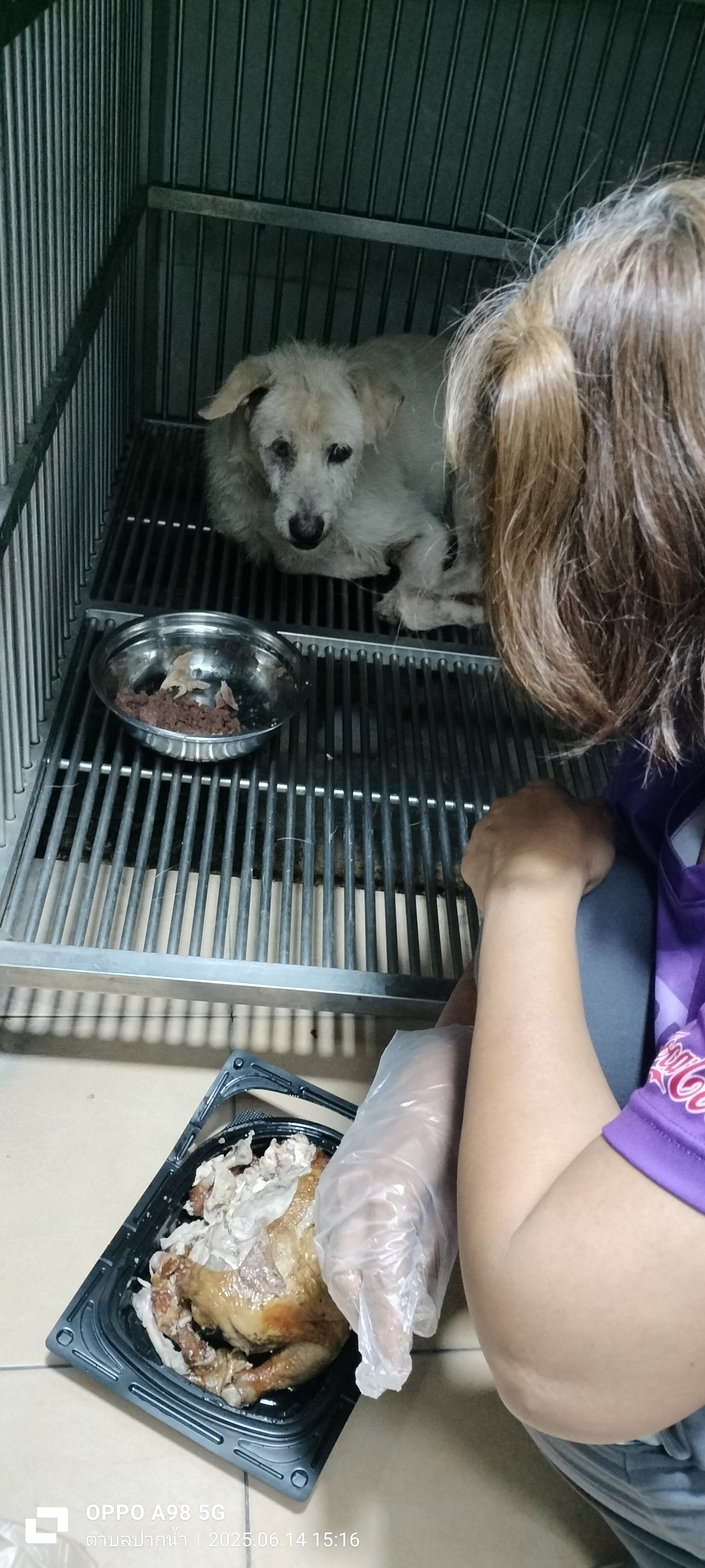 Muang Prakarn Veterinary Clinic