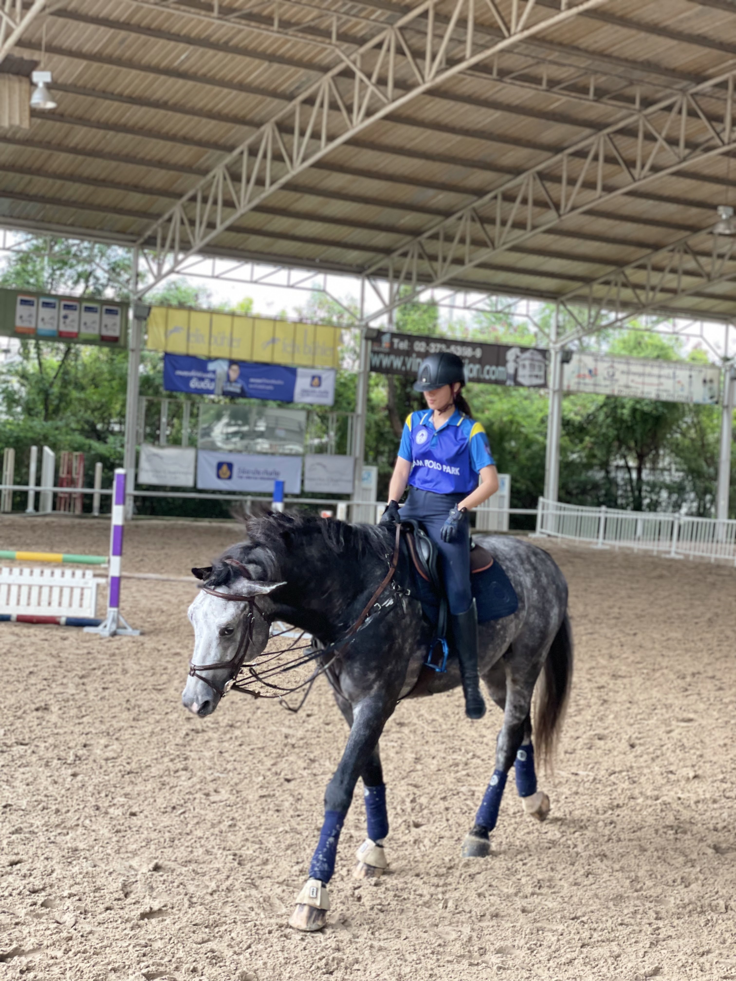 Phoenix Riding Academy (NEW)