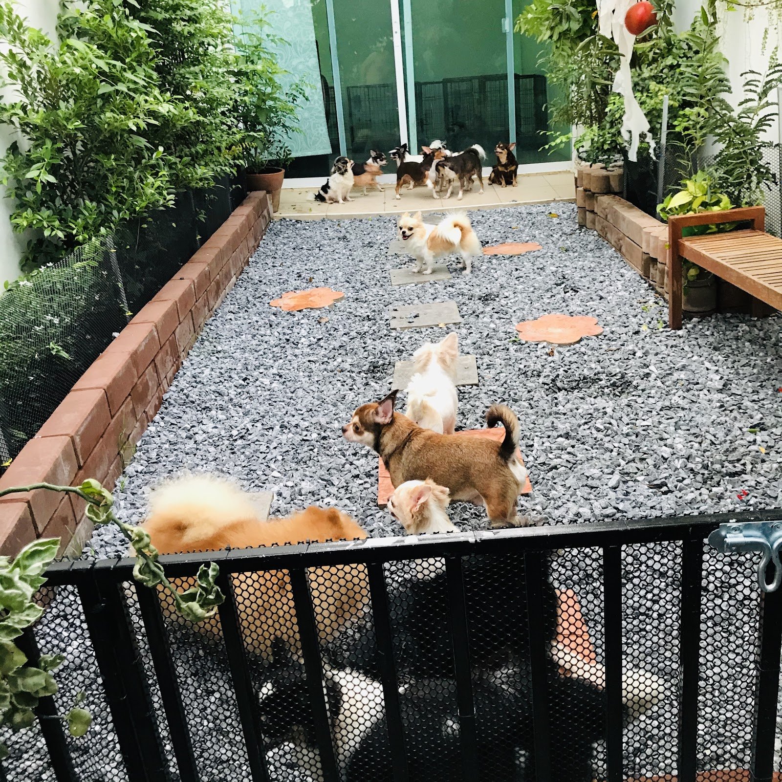 Vasunfarm