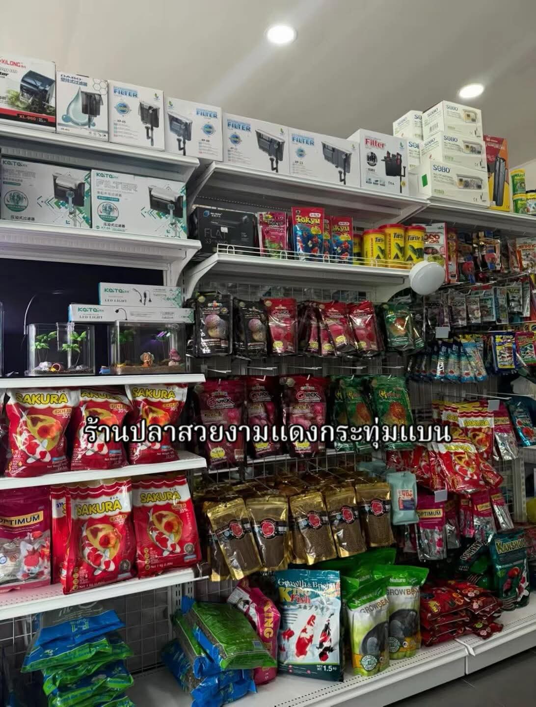 Beautiful fish shop in Krathum Ban