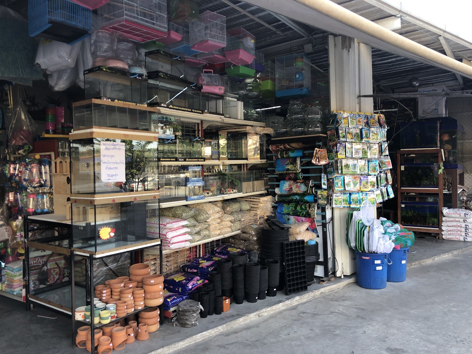Beautiful Fish Shop Lotus Mahachai