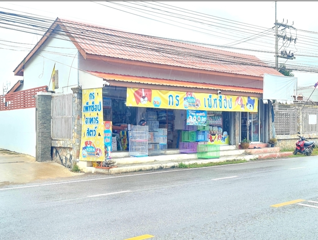 Korn Pet Shop