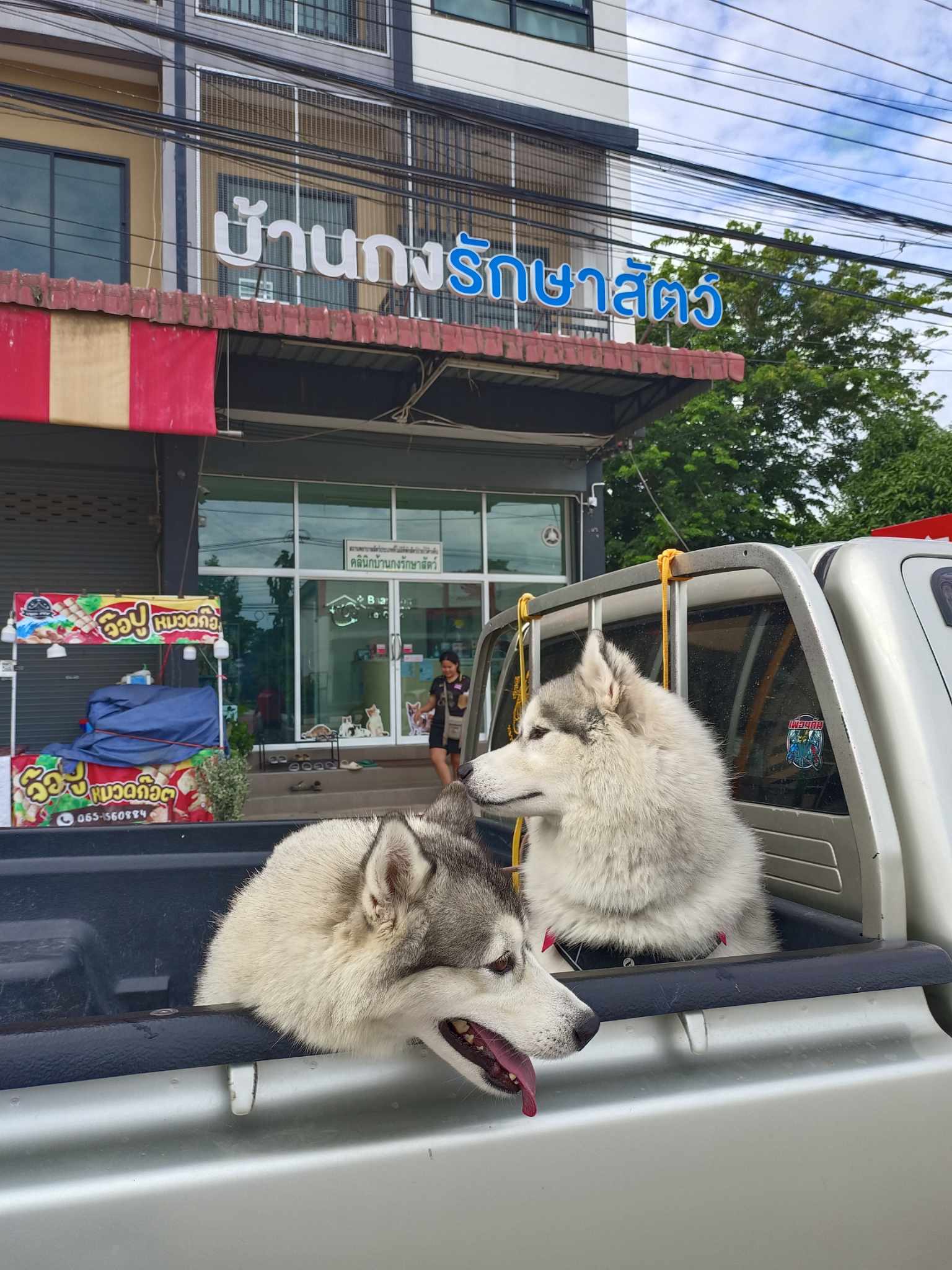 Baan Kong Pet Clinic
