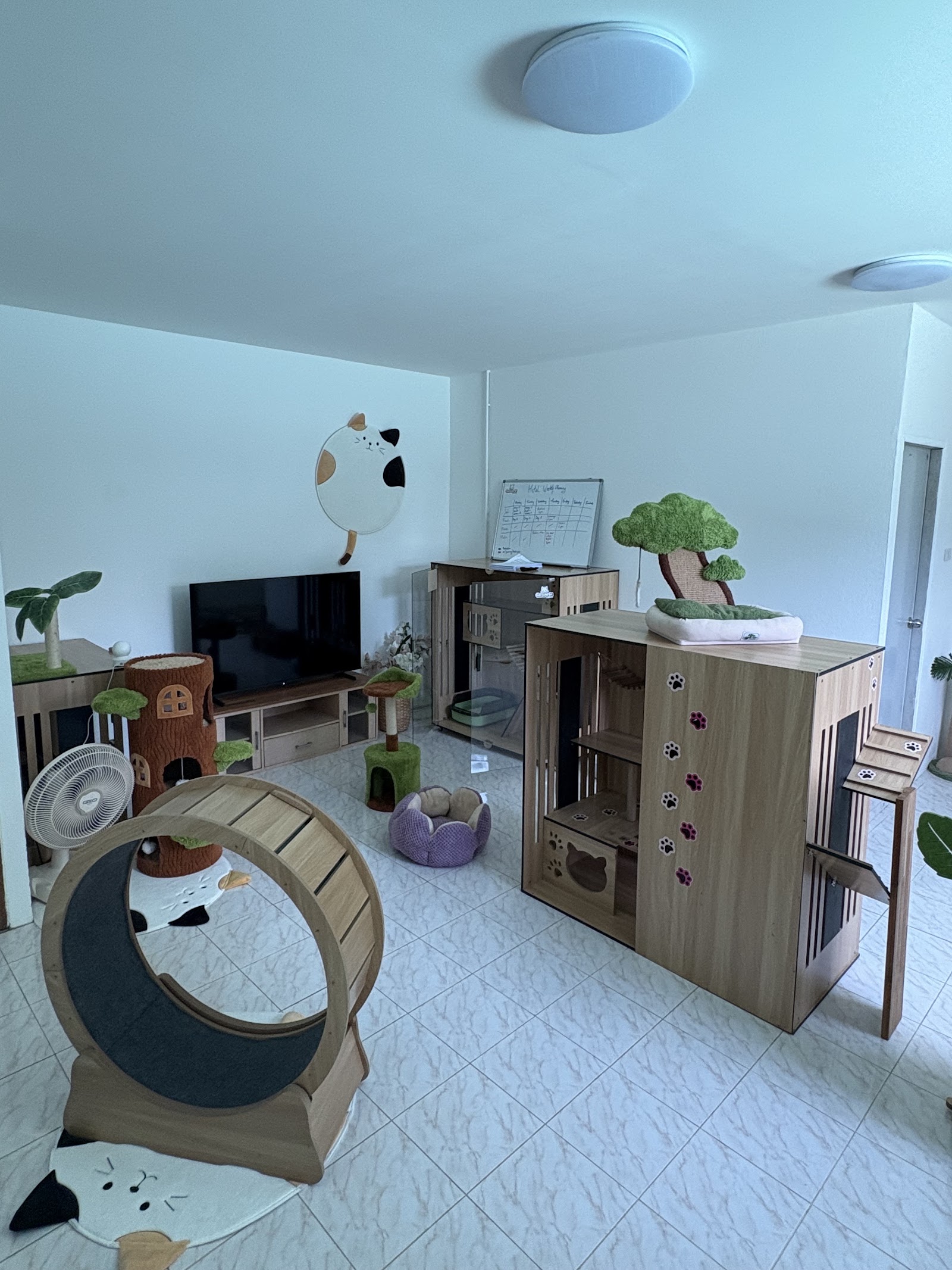 Cat Hotel by CatWorld
