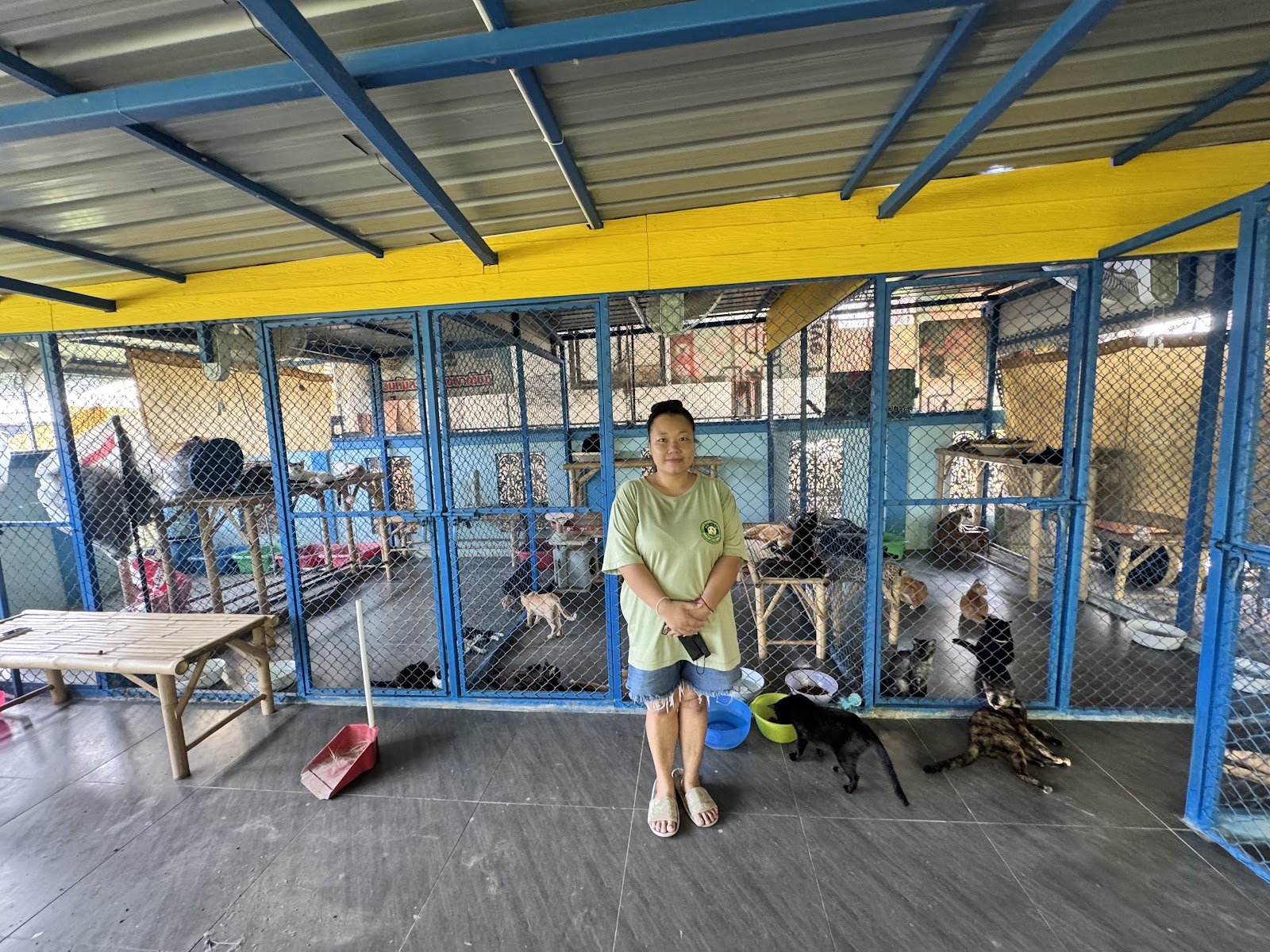 Dog and Cat Rescue Samui Foundation