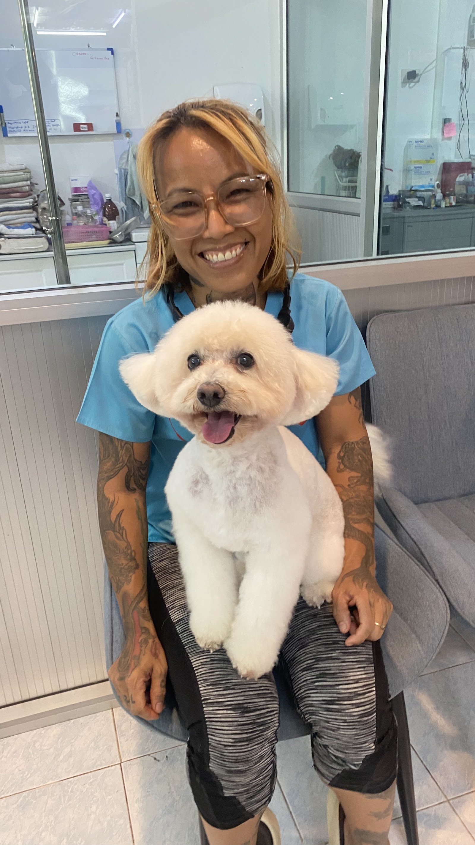 Koh Tao Animal Clinic