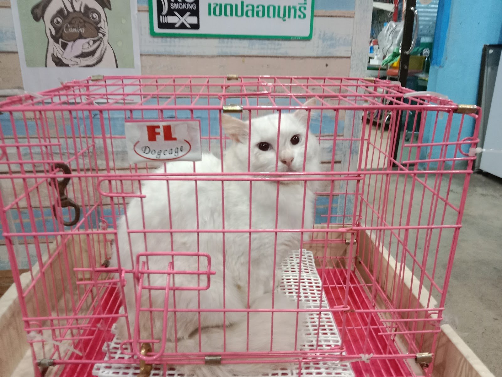 Veterinarian