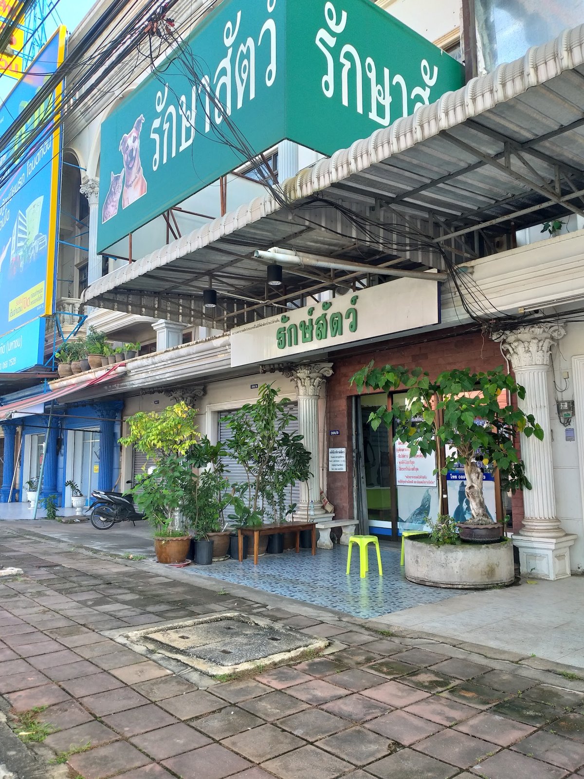 Veterinary Clinic