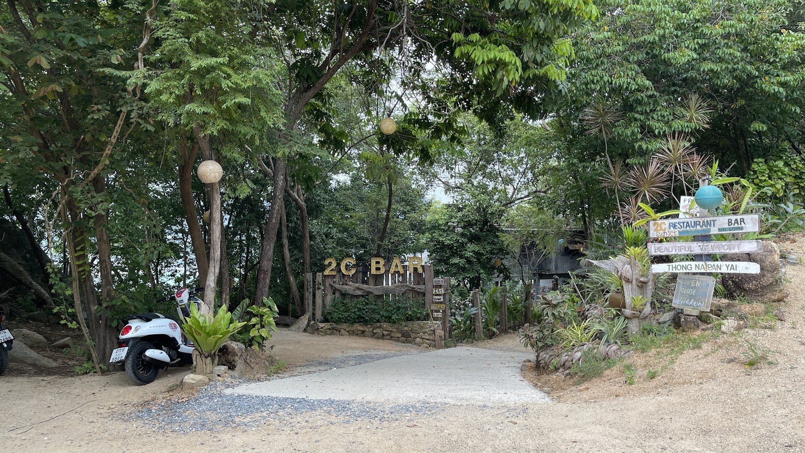 Yang Na Yai Tree