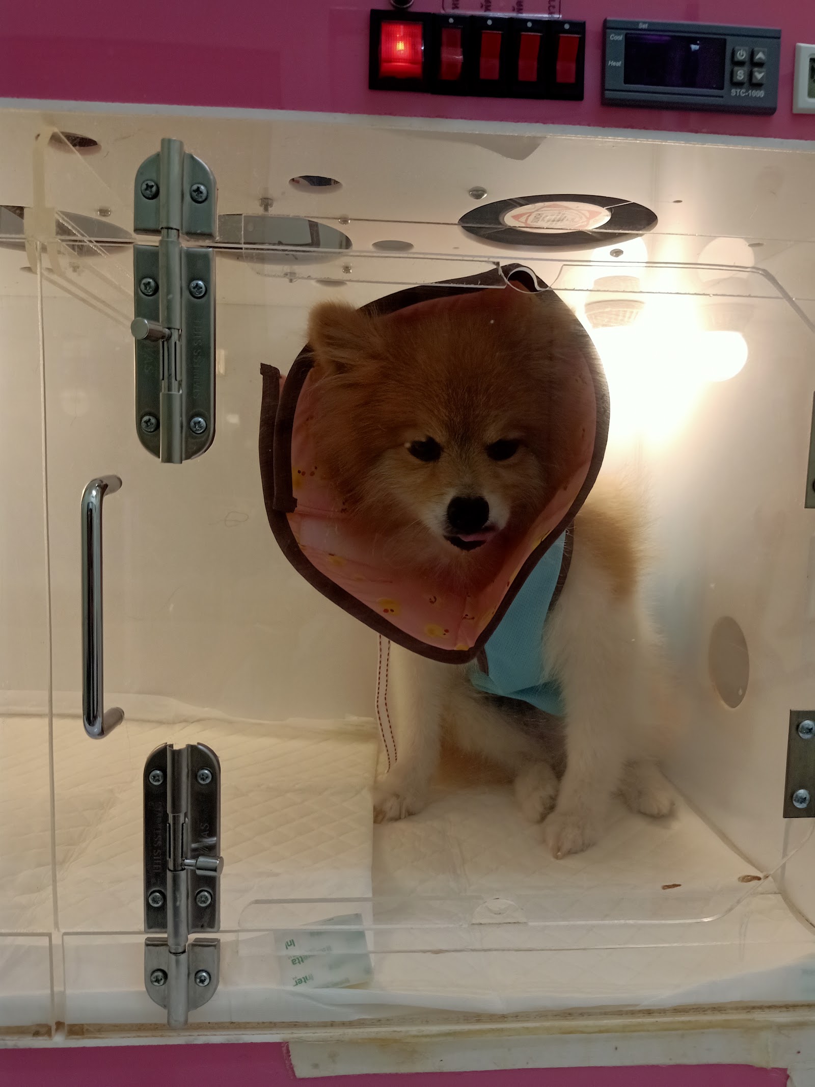 Gan aeng Animal Clinic