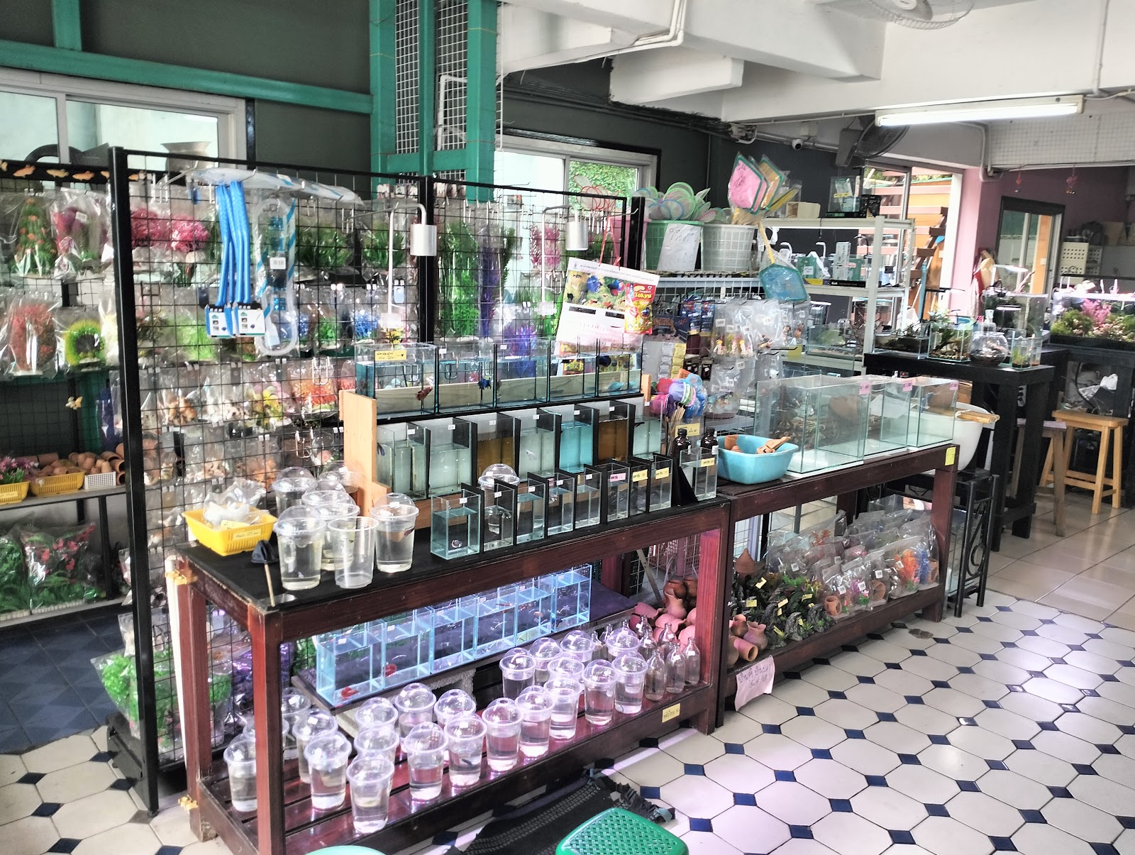JYJ Aquatic Shop