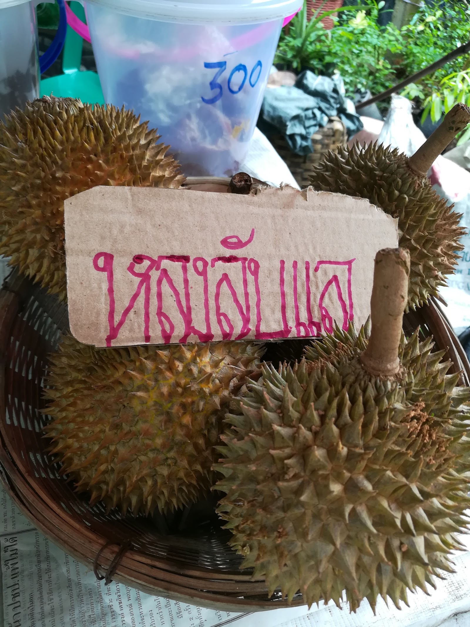 Bueng Bon Uttaradit